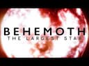 Is This the Largest Star In the Universe?